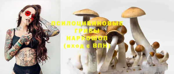 ПСИЛОЦИБИНОВЫЕ ГРИБЫ Алзамай