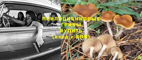 ПСИЛОЦИБИНОВЫЕ ГРИБЫ Алзамай
