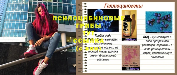spice Алексеевка